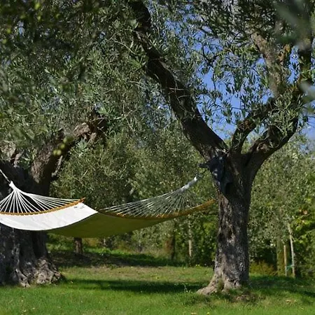 Luxury Retreat In Citta Della Pieve, Umbria * ピエガーロ